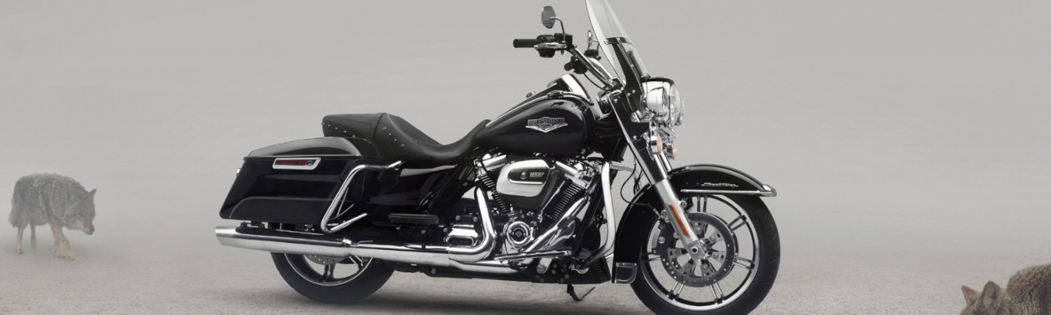2020 Harley-Davidson® Road King® for sale in Black Wolf Harley-Davidson®, Bristol, Virginia